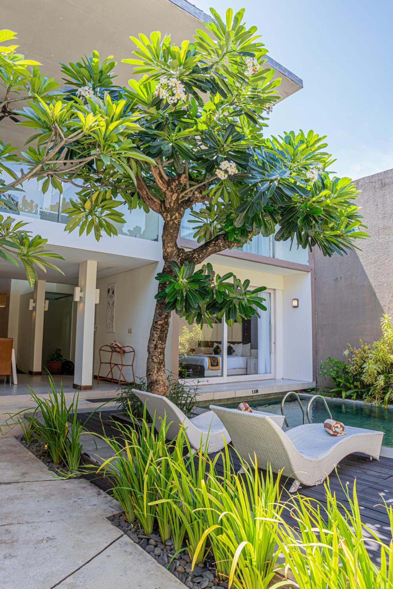 Asa Bali Luxury Villas & Spa Семиняк Екстериор снимка